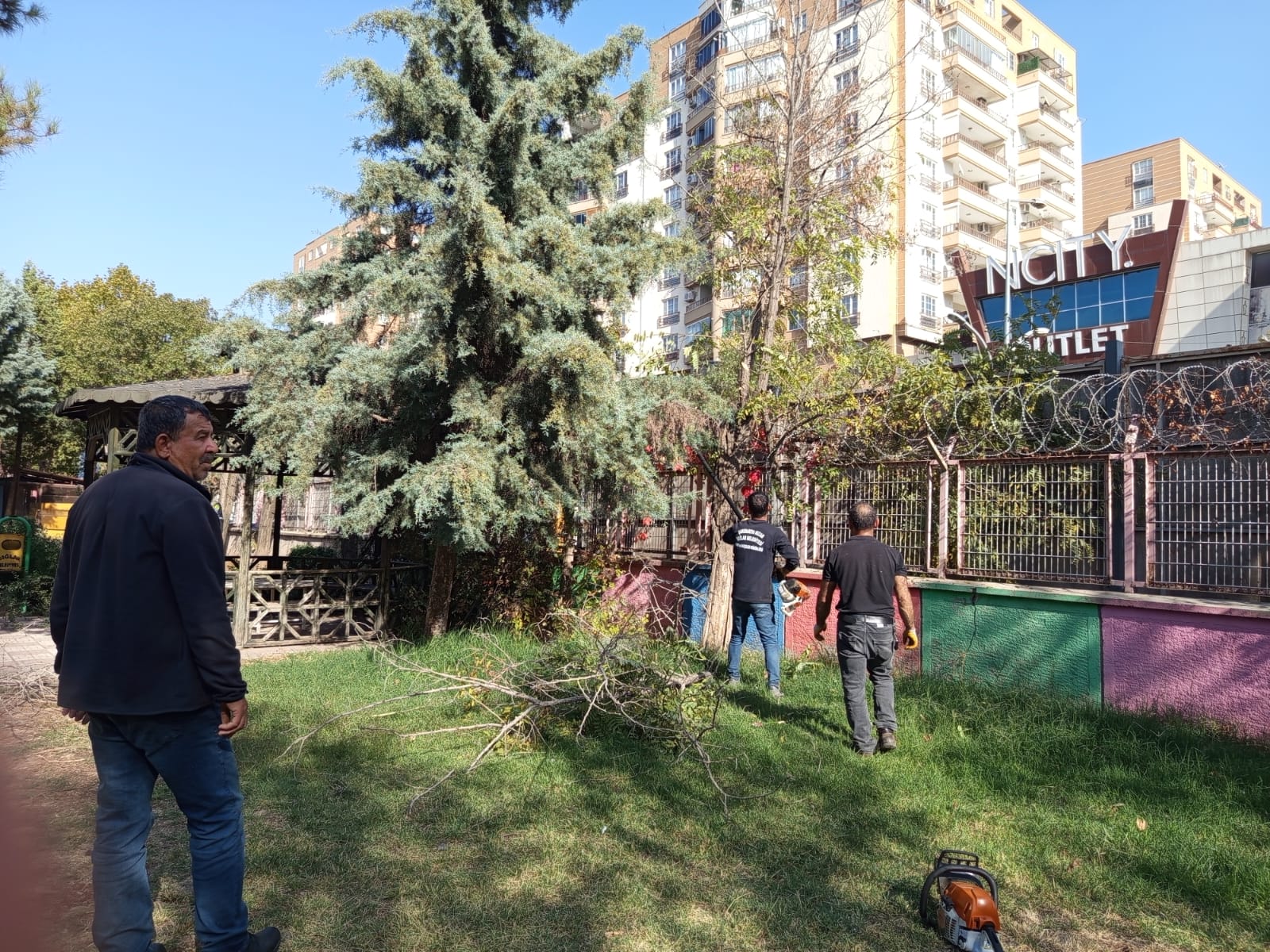 Yeşil Alan Uygulamaları